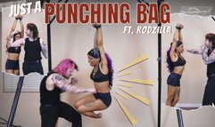 Just A Punching Bag - Muscle Worship Mixed Boxing Beat Down in 4K