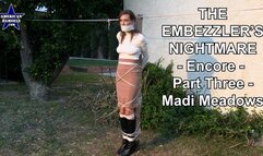 The Embezzler's Nightmare - Encore - Part Three - Madi Meadows