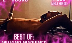 BEST OF: Milking Machines MEGA-BUNDLE Clip (7 Clips in ONE)