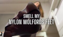 Smell my nylon Wolfords feet