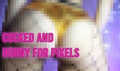 Beta cucks pay for pixels (audio + pictures)