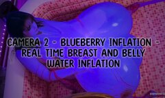 Camera 2 - Blueberry Inflation - Real Time Breast and Belly Water Inflation