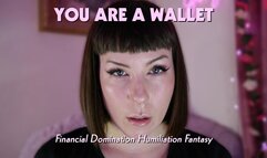 You Are A Wallet