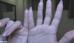 beautiful female hands