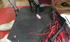 Mistress Evil Red crushes slave's cock while it's jammed in the cock table WMV version