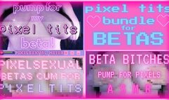 Pixel Tits Bundle for Betas (1080 MP4)