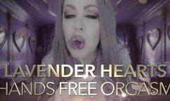 Lavender Hearts HFO HD