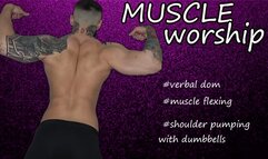 A must have for muscle worshipers