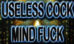 USELESS COCK MIND FUCK