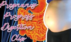 10-11 Week Pregnancy Progress Digestion Clip