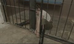 Stuck in prison - mp4 1080p