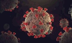 CC - Virus apocalypse Sfx