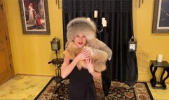 Fur Fashion Show Cat Walk (MP4 HD)