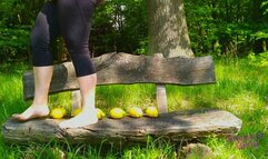 Sneaker-Girl Darleen - Lemons on Wooden Bench