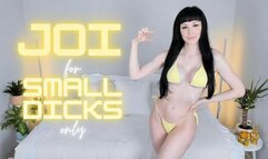 JOI For Small Dicks Only (WMV HD)