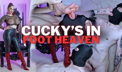 Cucky's In Foot Heaven