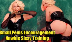 Small Penis Encouragement and Newbie Sissy Training (4K)