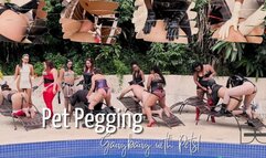 Pet Play GangBang - PT ll