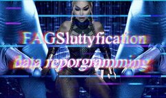 GAYSluttyfication data reprogramming mov