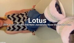 2024-02-22 Lotus Red Pedi Nylon Jeans&Soles House Slippers BBC Tease - Lotus