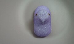 3 Peeps Pee Swim Yellow Pink and Purple Marshmallows