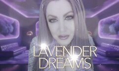 Lavender Dreams 4K