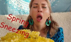 Spring sneezing