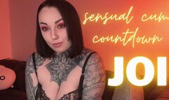 Sensual Cum Countdown JOI
