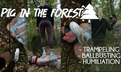 Pig in the Forest: Trampling, Ballbusting, Humiliation, Spit Fetish