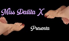 Miss DalilaX joi feet