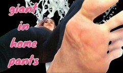 30 FHD GIANTESS FEET 1 ( foot domination, foot fetish, slave training, female domination, foot fetish, big feet, foot virgin, upclose, worship, soles, wrinkled, wiggling, spreading, foot play,