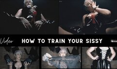 How To Train Your Sissy