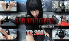 Brandy Pervert Collector VR 360