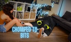 Nyxon & Aria Urban Explorers Chomped To Bits HD 1080p MP4