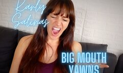 Karly Salinas Big Mouth Yawns HD 1080p MP4