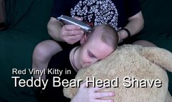 Teddy Bear Head Shave 4k