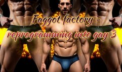 Faggot factory - reprogramming into gay 3, Bulge Addicted