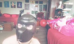 New Gimp Mask From Viewer! GRATEFUL