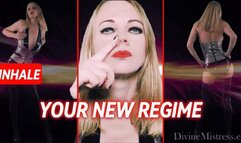 Your New Regime