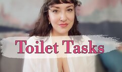 Toilet Tasks