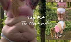 Too Fat To Workout