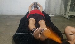 A Man's Feet Tickled by Roxana Who Decides to Take Action (Tt)