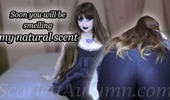 Excited about you smelling me - MP4 SD 480p