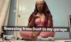 Sneezing from dust in my garage