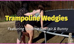 Trampoline Wedgies