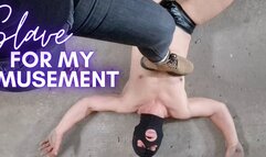 Slave for my Amusement