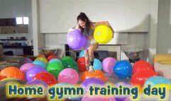 Home gymn training day