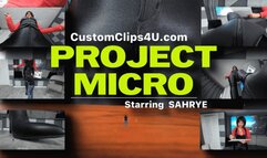 Sahrye Micro Project FX