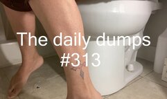 The daily dumps #313