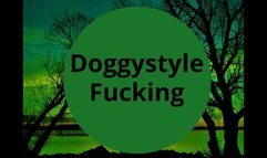 Doggystyle Fucking